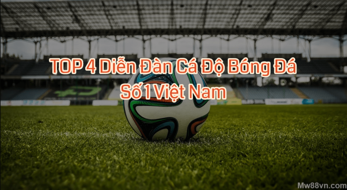 TOP 4 diễn đàn cá độ bóng đá số 1 Việt Nam hiên nay - Mw88vn